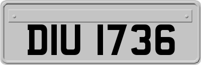 DIU1736