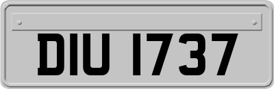 DIU1737