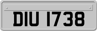 DIU1738