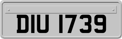 DIU1739