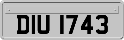 DIU1743