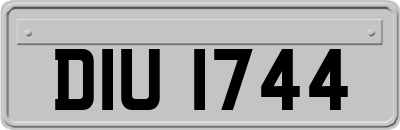 DIU1744