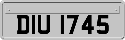 DIU1745
