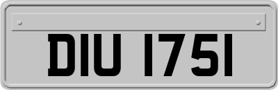 DIU1751
