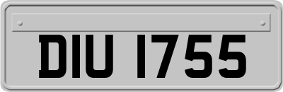 DIU1755