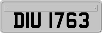 DIU1763