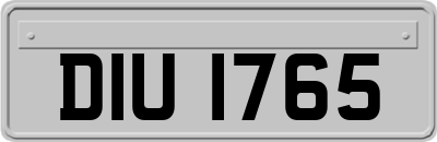 DIU1765