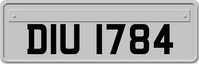 DIU1784