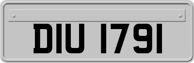 DIU1791