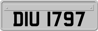 DIU1797