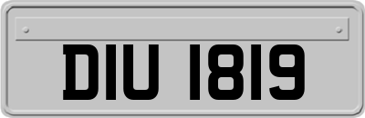 DIU1819
