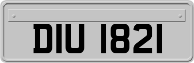 DIU1821