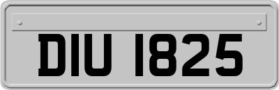 DIU1825