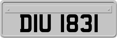 DIU1831