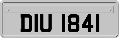DIU1841