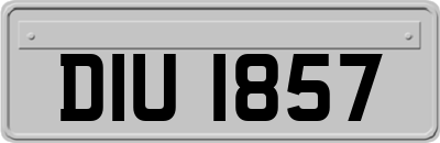 DIU1857