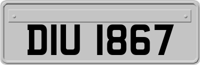 DIU1867