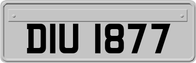 DIU1877