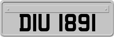 DIU1891