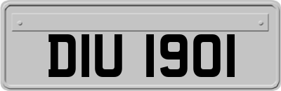 DIU1901