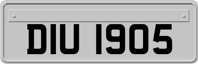 DIU1905