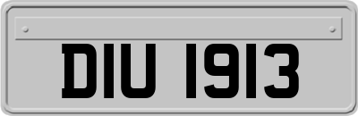 DIU1913