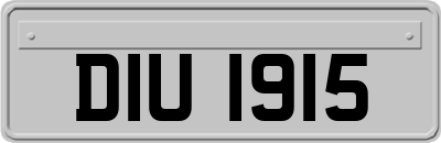 DIU1915