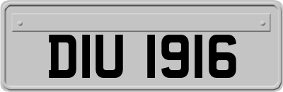 DIU1916