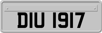DIU1917