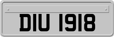 DIU1918