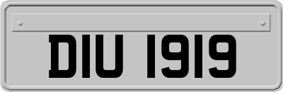 DIU1919