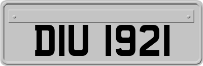 DIU1921