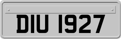 DIU1927