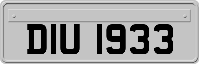 DIU1933