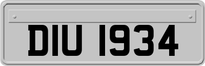 DIU1934