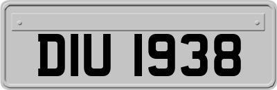 DIU1938
