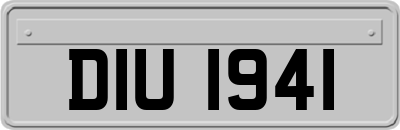 DIU1941