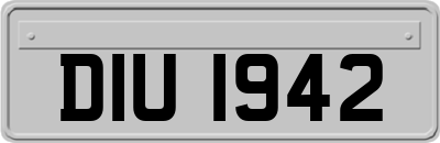 DIU1942