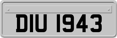 DIU1943