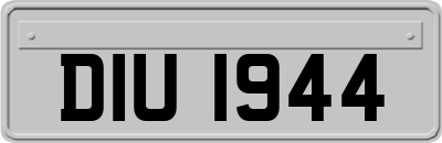 DIU1944
