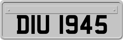 DIU1945