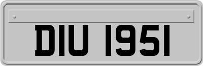 DIU1951
