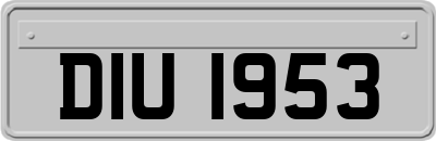 DIU1953