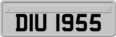 DIU1955