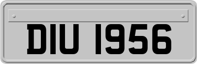 DIU1956