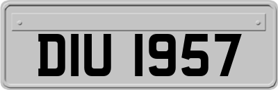 DIU1957