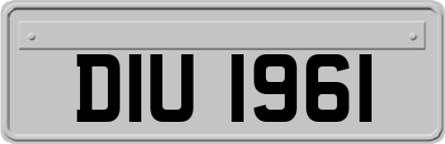 DIU1961