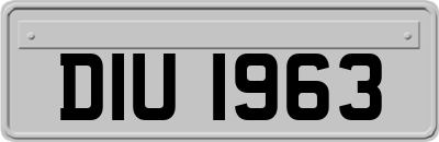 DIU1963