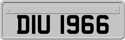 DIU1966
