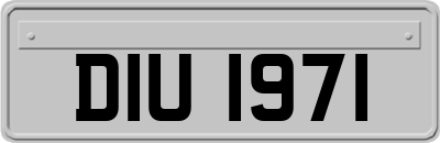 DIU1971